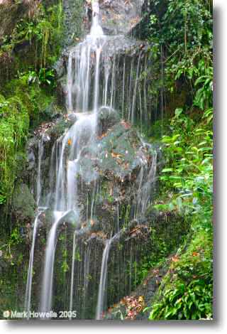 Hestercombe Waterfall